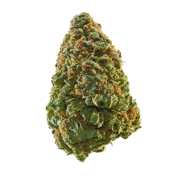 Buddah | THCa Flower - 28 Grams : Green Crack (SATIVA) 28.78%