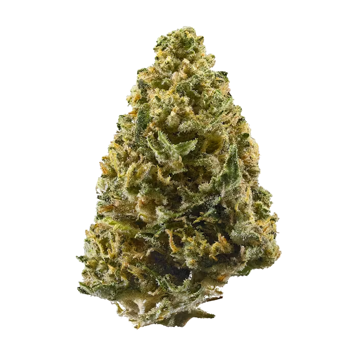 Buddah | Exotic THCa Flower - 28 Grams : Northern Lights (INDICA) 29.59%