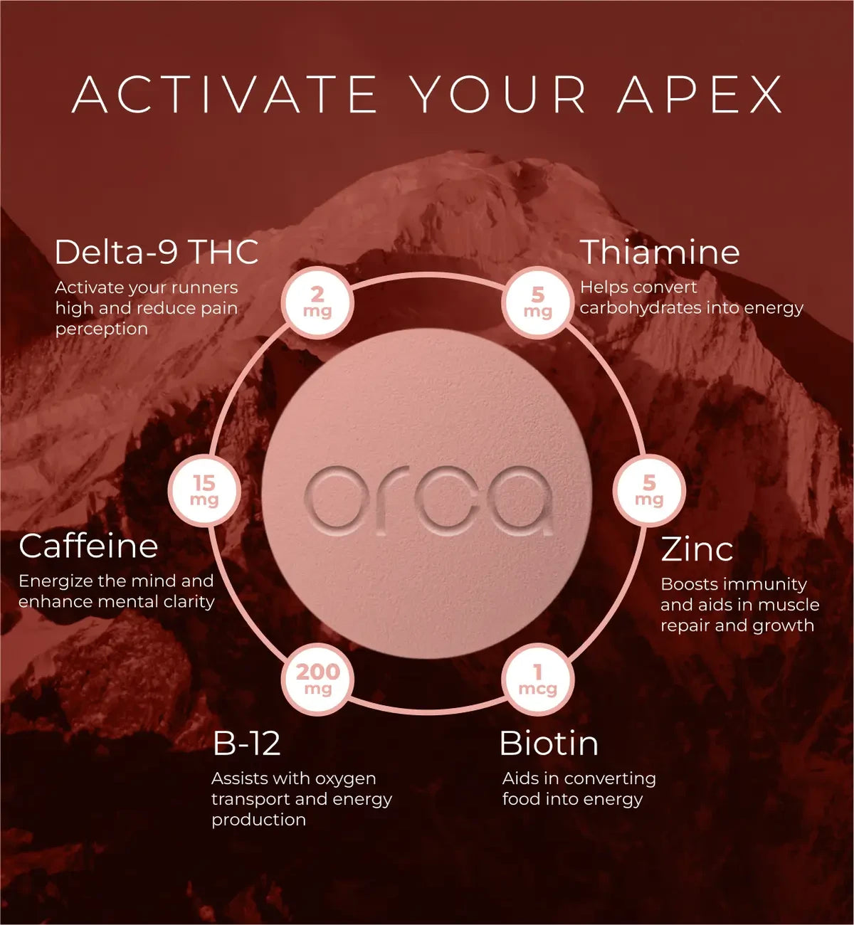 ORCA Energy