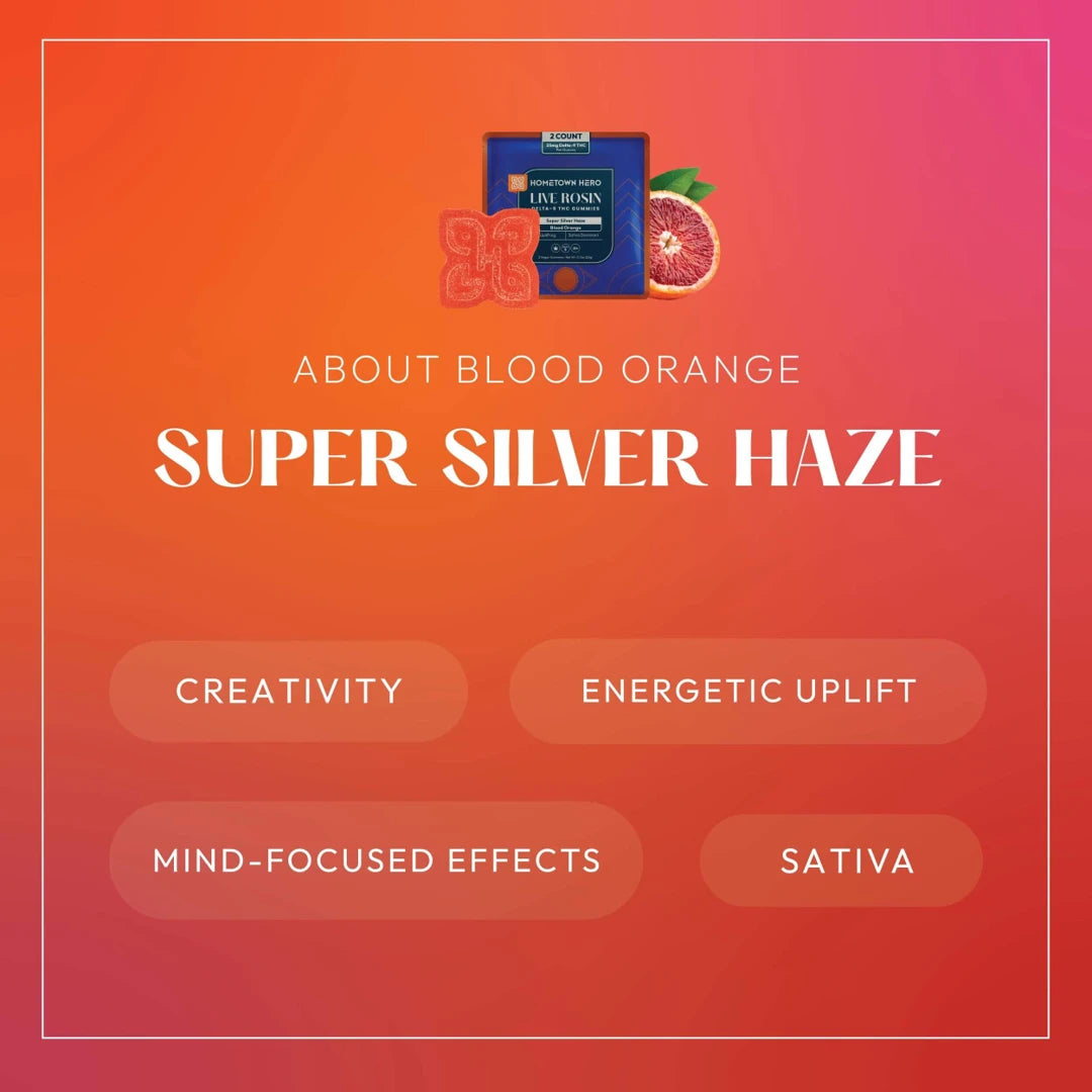 25mg D9 | (2ct) Live Rosin Gummies: Super Silver Haze [SATIVA]