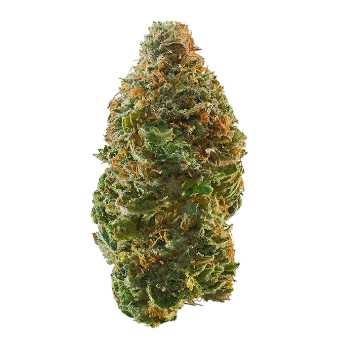 Trainwreck - Flower : SATIVA (26.68%)